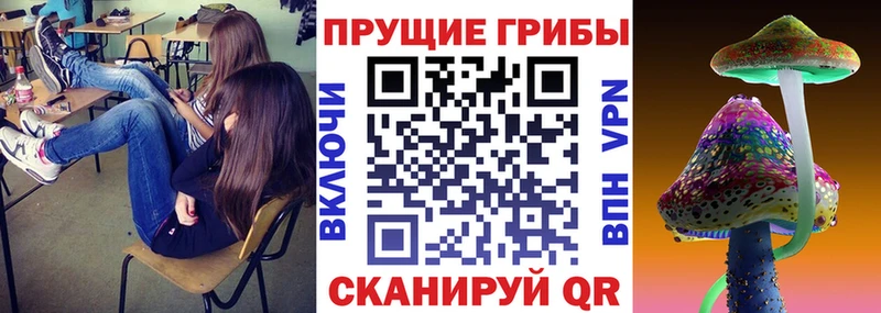 Купить закладки Алексин Галлюциногенные грибы Cubensis